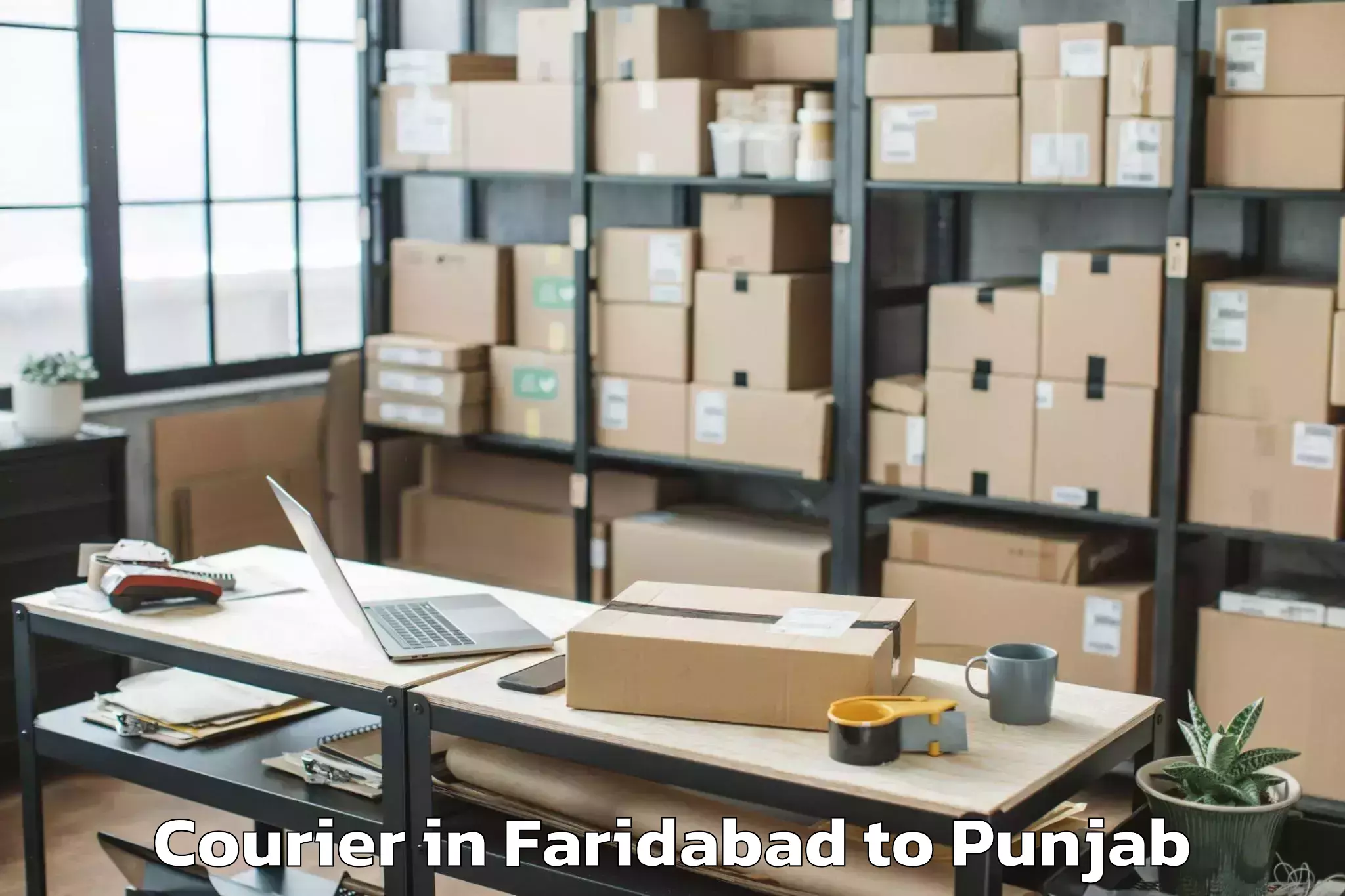 Top Faridabad to Ansal Plaza Mall Ludhiana Courier Available